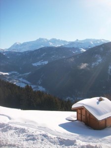 Chalet Ameria Les Saisies Chalet et montagne